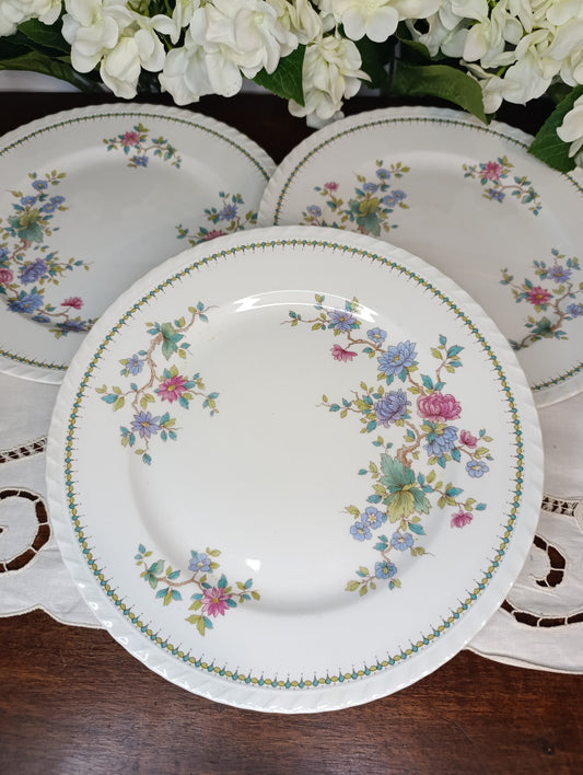 Piatti piani spagnoli